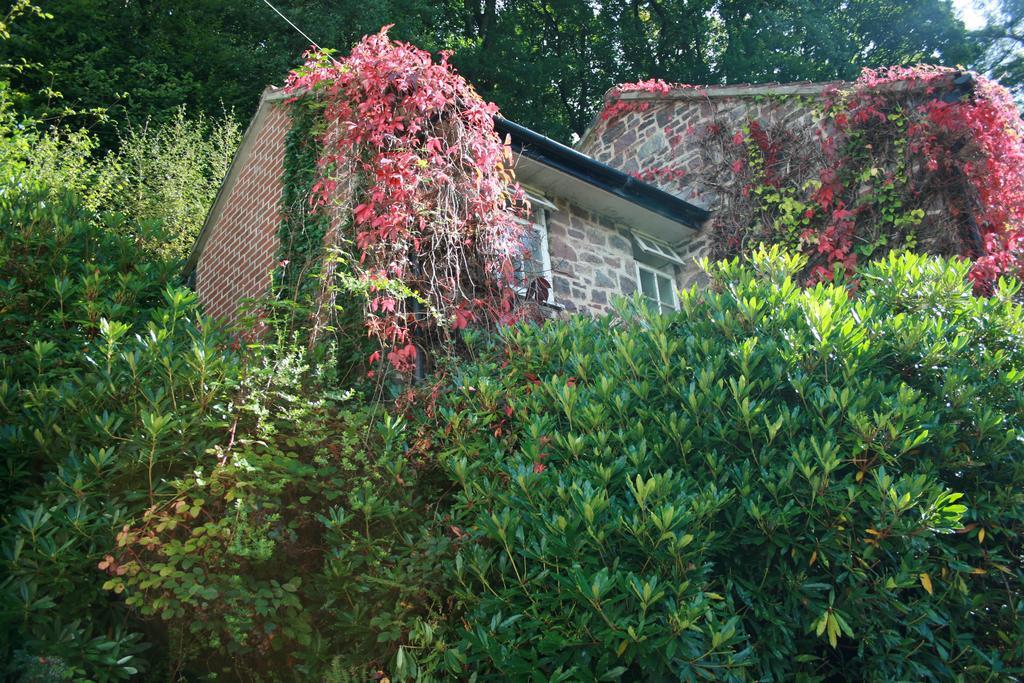 The Bark House Hotel Tiverton  Esterno foto