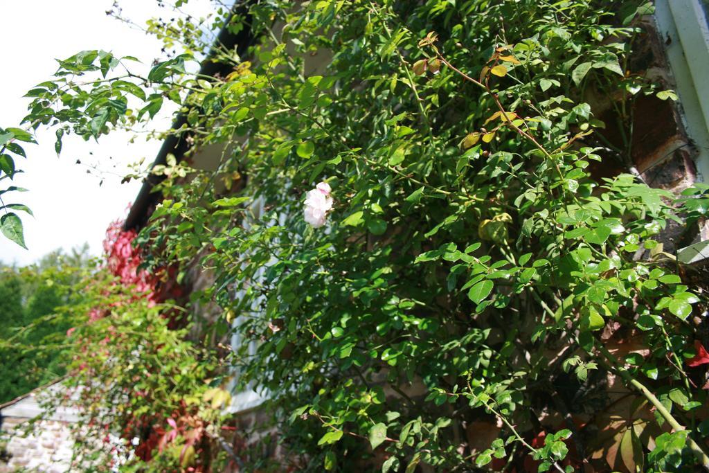 The Bark House Hotel Tiverton  Esterno foto