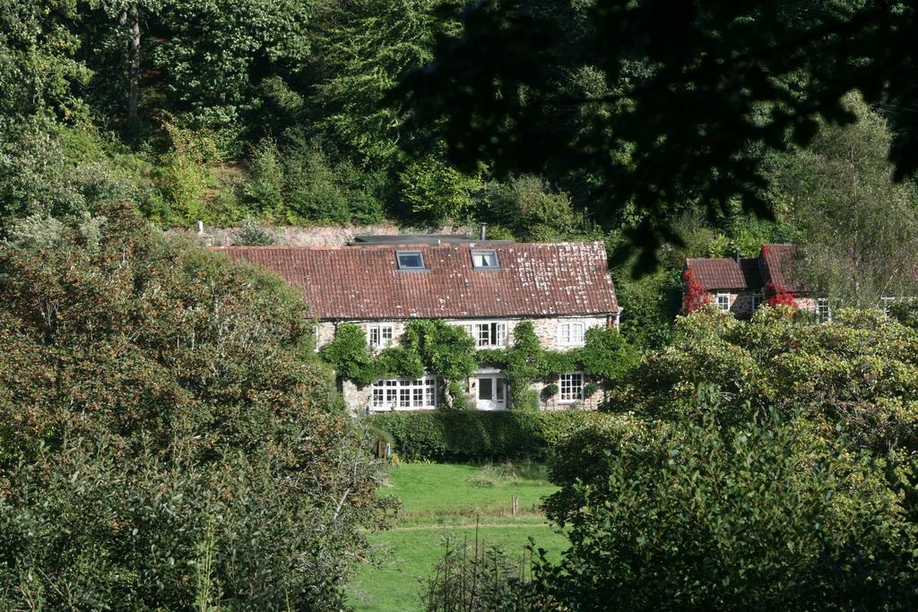 The Bark House Hotel Tiverton  Esterno foto